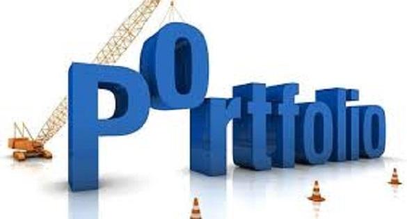 What is Policy Portfolio