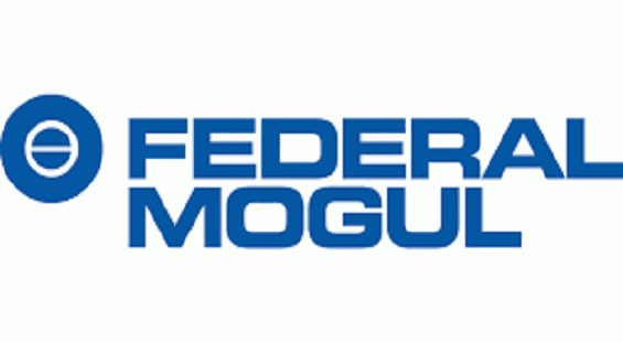 Federal-Mogul Goetze shines post Supreme Court decision