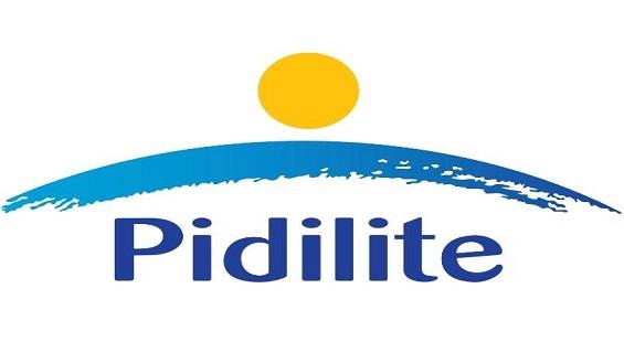 Pidilite, Evolvence India join HomeLanes Series D funding round