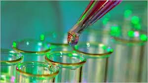 Himadri Speciality to invest Rs.1,000 crore in WB; stock escalates