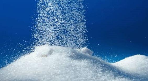 Decline in output may hit sugar stocks