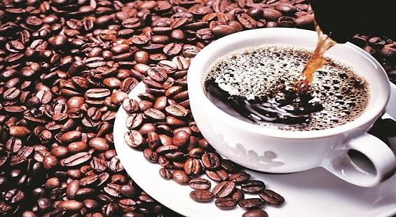 Tata Coffee hits 52-week high on strong December quarter
