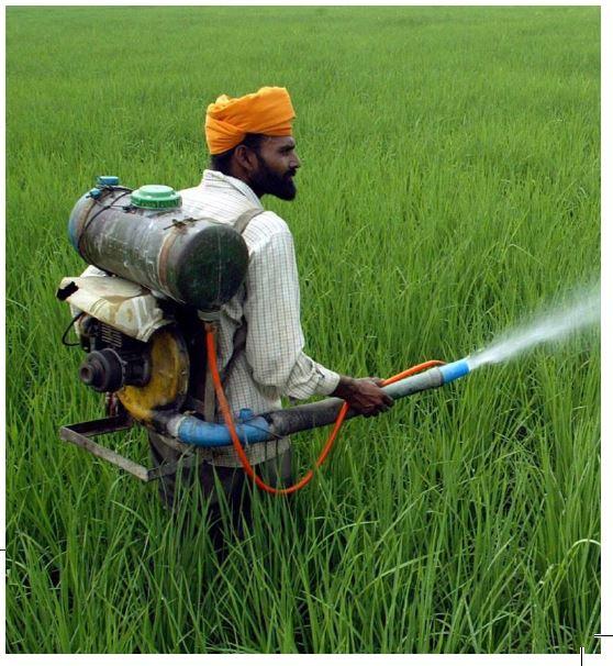 Can The Fertiliser Industry Reap A Rich Harvest?