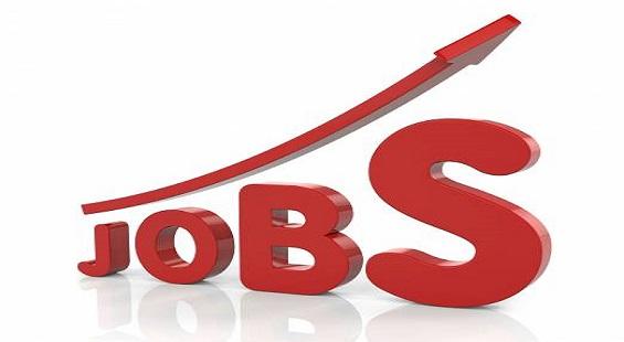 India needs job creation strategy like China: Economic Survey