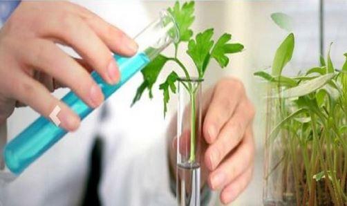 Reaping A Rich Harvest Rallis India Limited