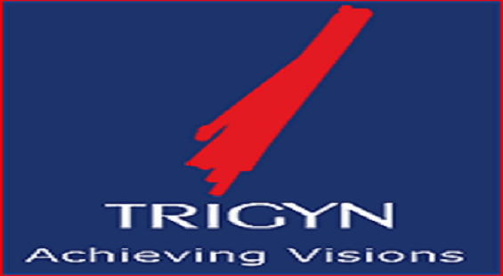 Stocks of Trigyn Technologies up after contract award