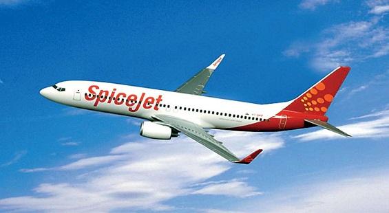 SpiceJet soars on plans to launch 20 new domestic flights