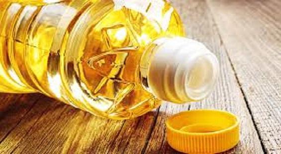 Oilmeal exports show sharp decline; economic slowdown visible