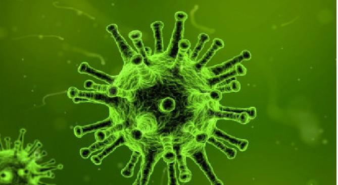 Sectoral Funds: Triggered To Perform Post-Pandemic