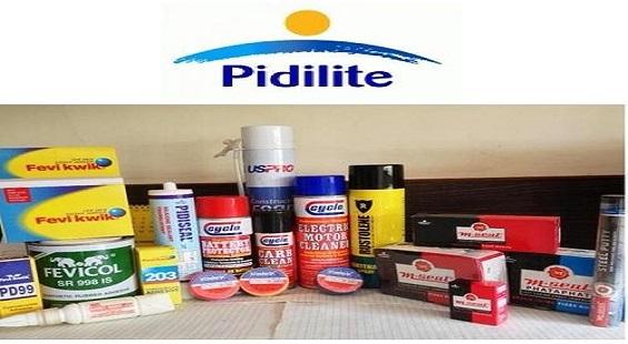 Pidilite Industries shine upon obtaining 70 per cent stake in Tenax India