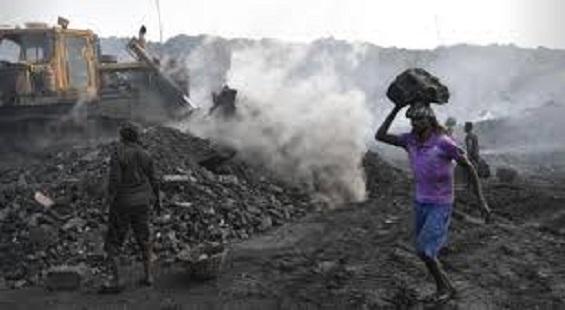 Coal mining auction helps Coal India gain 6 per cent intraday