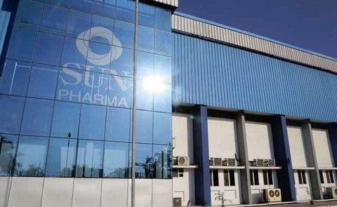 Sun Pharma rallies, other pharma stocks follow