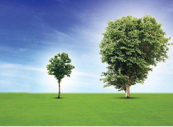 Earn Double Digit Returns From Your Funds