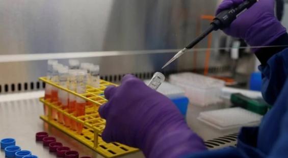 Astec LifeSciences surges 7 per cent on impressive Q2 numbers