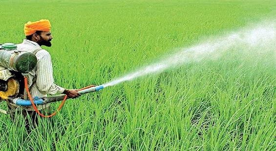 Chambal Fertilisers jumps 4 per cent on healthy operational performance