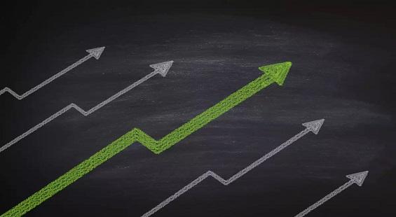 Dhanuka Agritech, a probable breakout?