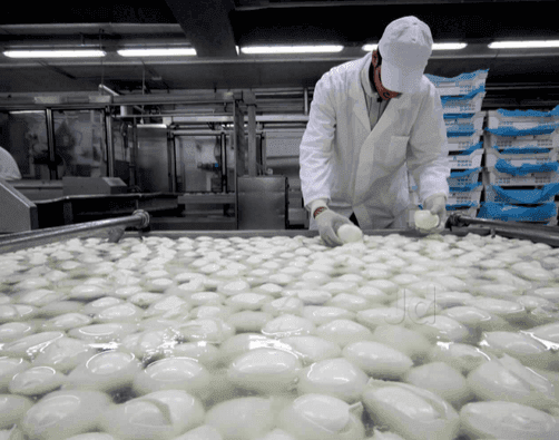 Parag Milk launches advance muscle building product