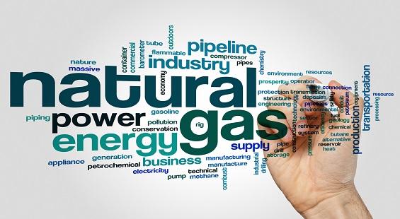 Indian Energy Exchange welcomes third strategic investor in IGX; stock jumps over 6 per cent