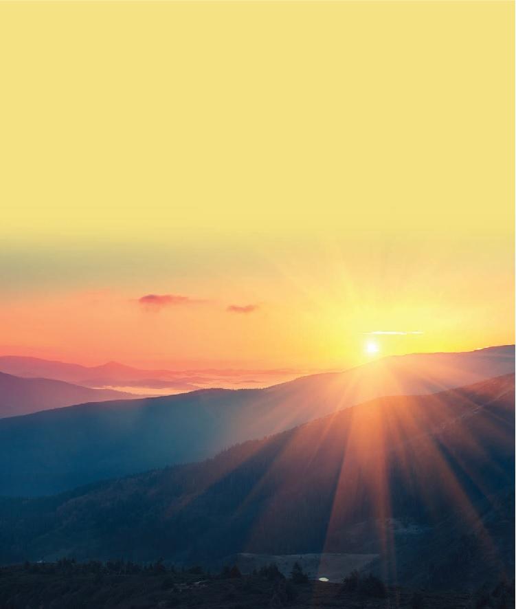 Q3 Results : The New Dawn