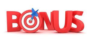 How rewarding are bonus issues?