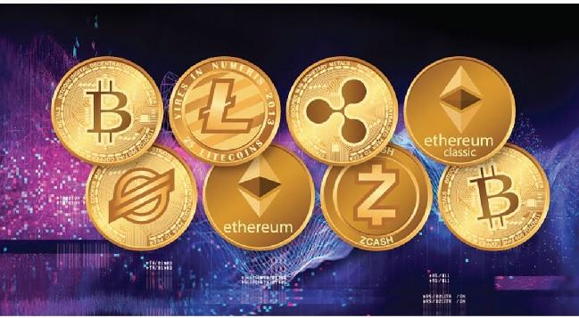 Decoding the Crypto Bull Market