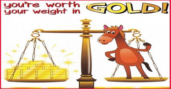 World's most expensive stocks worth their weight in gold!