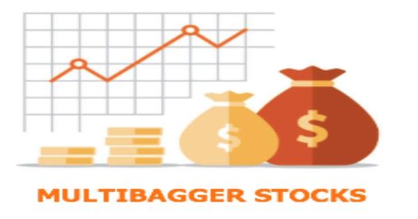 How to identify multibagger stocks?