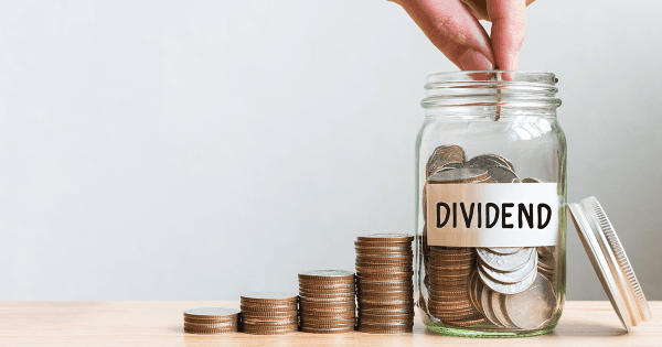 Dividend investing explained: How to pick dividend stocks?