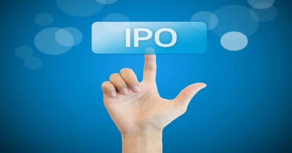 Ever wondered why did you not receive an IPO allotment? Know how IPO shares are allotted!