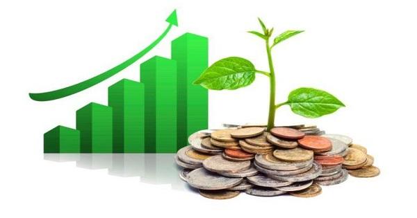 Top 10 holdings of best large-cap funds