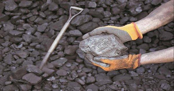 Meet T-20 player Coal India; Gains 20 per cent in 20 days