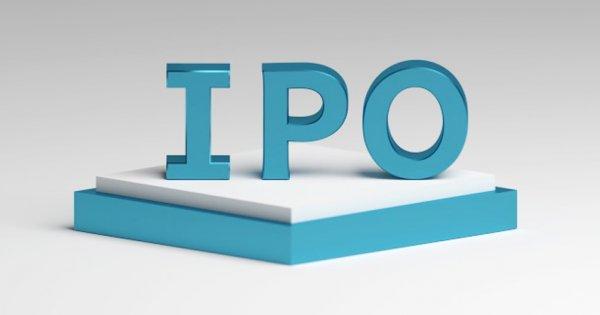 IPO Analysis: Sapphire Foods India Ltd