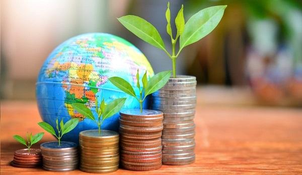 Why should you invest in international funds?