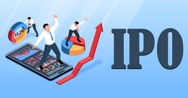 IPO Analysis: Tega Industries Ltd