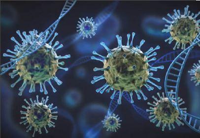 Virus Strikes Again!