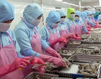 Avanti Feeds enters oversold zone