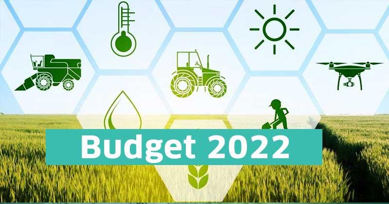 Budget 2022: What does Budget 2022 have for startups and MSMEs?