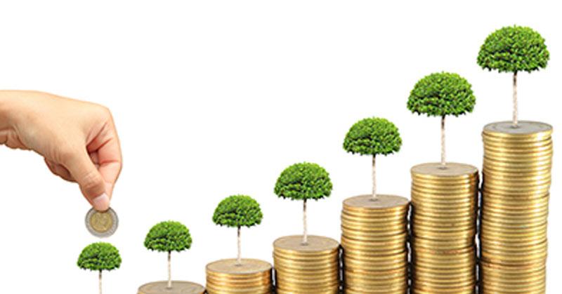 Best performing flexi-cap and multi-cap funds in the last one year!