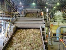 Sugar stocks to remain bitter