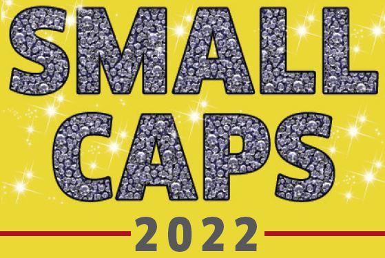 Create Long-Term Wealth With Small-Caps