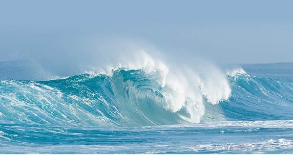 Can Dynamic Bond Funds Ride The Turbulent Market Tide?