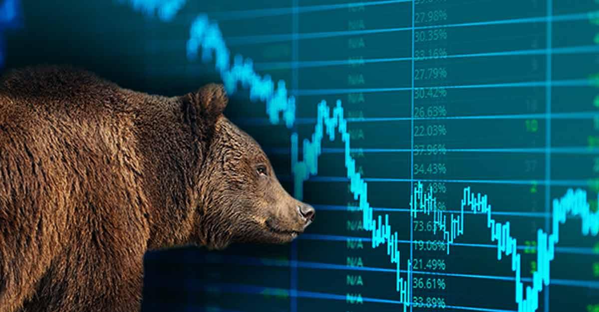 Nifty closes on a high note! ITC and Bajaj twins lead the rally