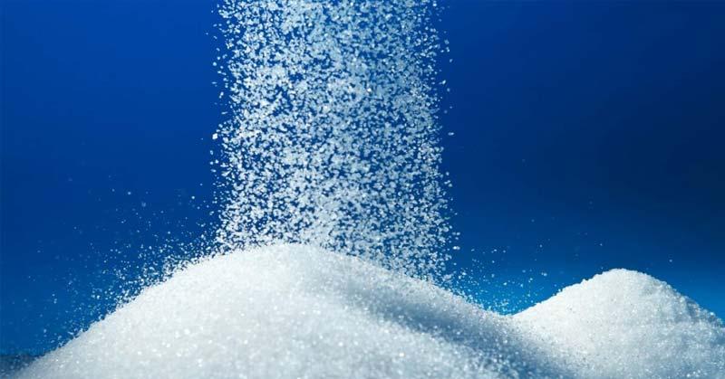 Sweetness extends for these sugar stocks emerging as the biggest gainers