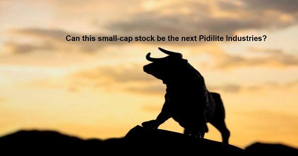 Stock below Rs 200: Can this small-cap stock be the next Pidilite Industries?