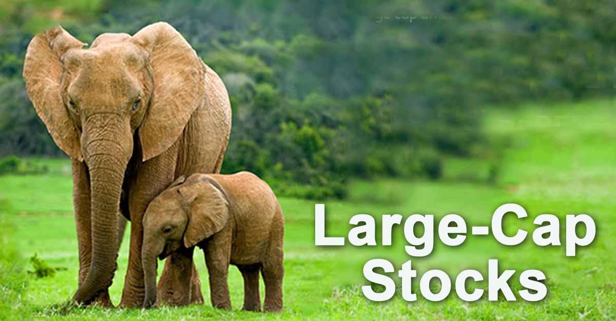 Watch out for this large-cap corporation that recently purchased a 100 per cent stake in this Germany-based company. Do you own it?