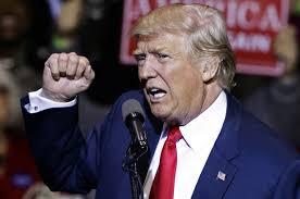 Trumps smashing tweet puts brakes on rising pharma stocks