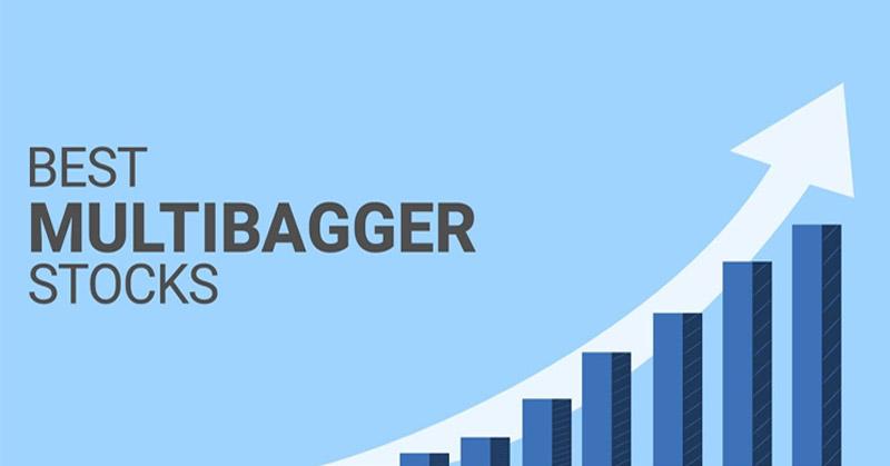 Multibagger in just 1 year: Watch out for these micro-cap companies that delivered more than 8x returns!