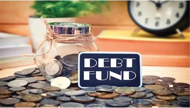 Should You Invest in Long-Term Debt Funds?
