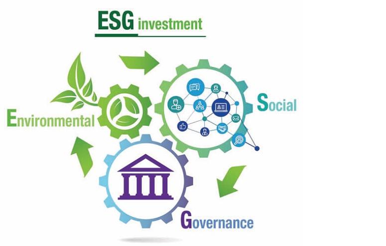 Investment Avenue: Is It Worth Considering The ESG Theme?