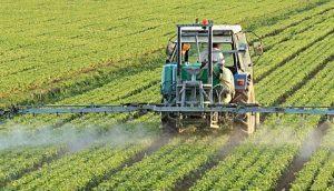 Q1FY19 Result: Deepak Fertilisers PAT up 12 per cent